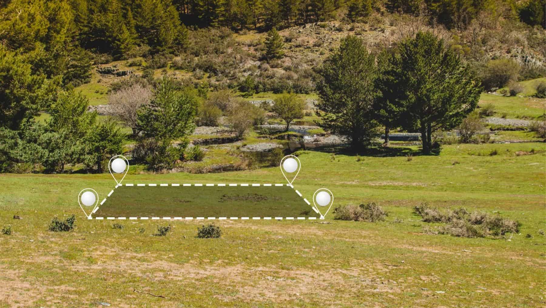 Tomt markert med stiplet linje og punkter i et skogsområde.