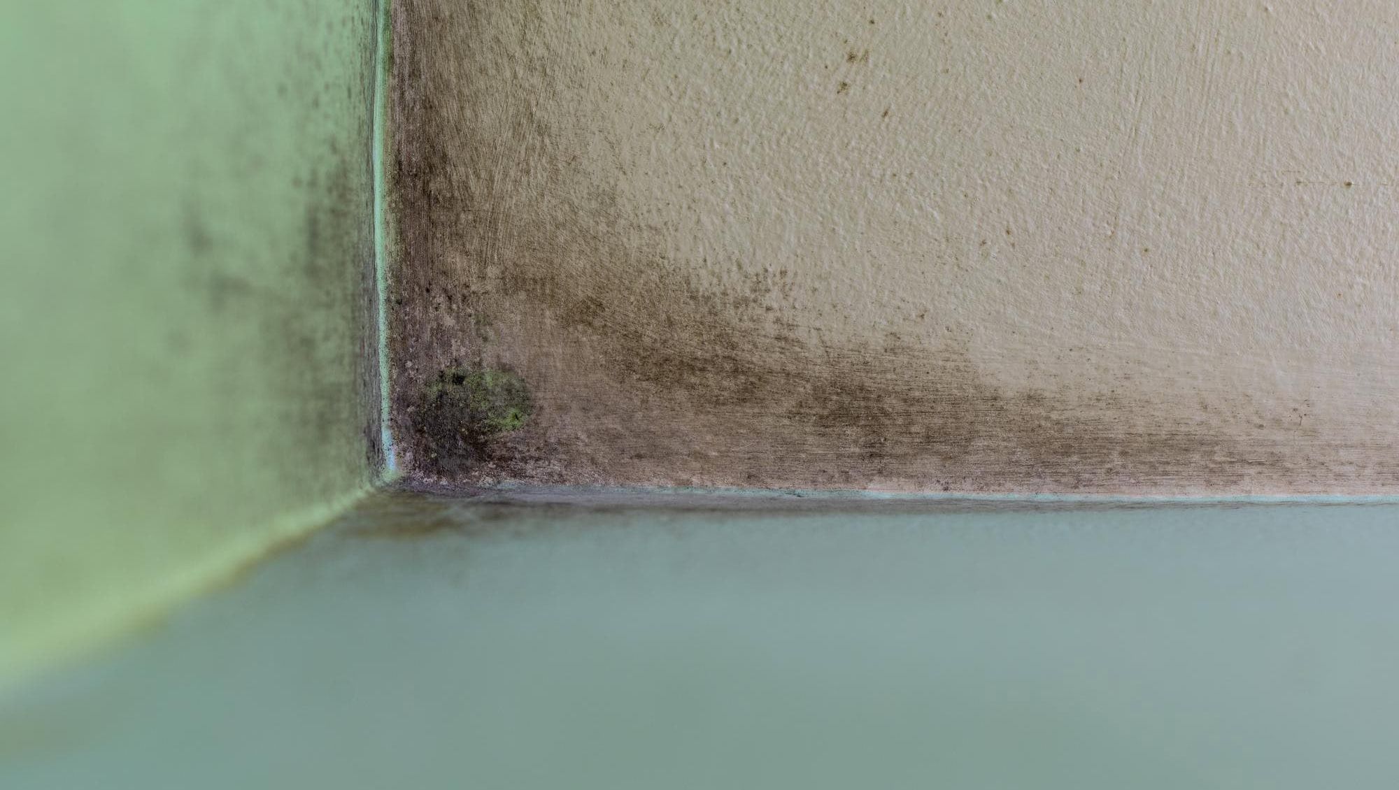 Muggsopp og fuktskader i hjørnet av en vegg og takflate.